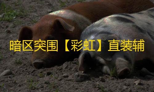 暗区突围【彩虹】直装辅助